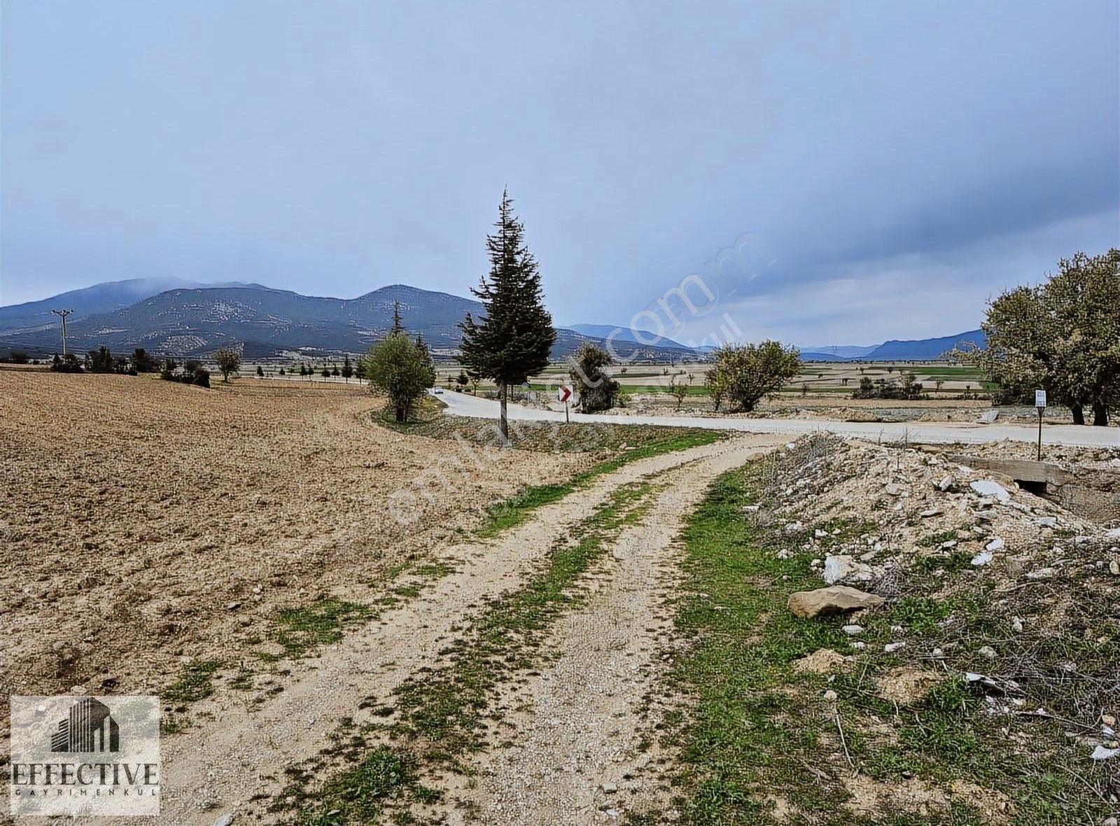 Korkuteli Çomaklı'da 3.445 M² Satılık Tarla *ref512 - Görsel 9