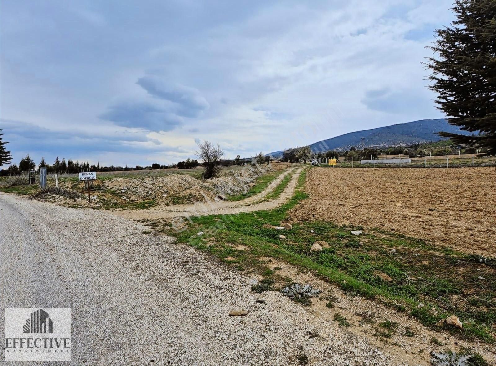 Korkuteli Çomaklı'da 3.445 M² Satılık Tarla *ref512 - Görsel 32