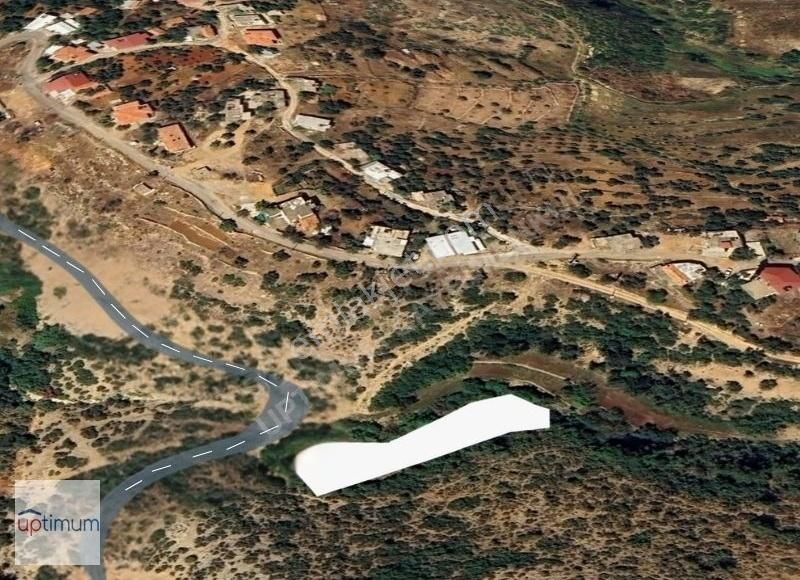 Hacıisali Mahallesinde Doğayla İç İçe Yaşam Ve Yatırım Fırsatı - Görsel 5