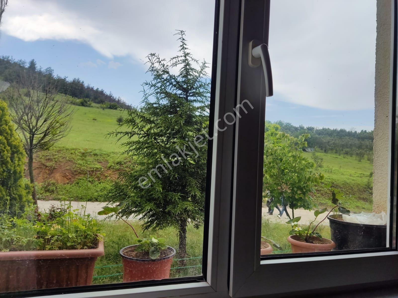 Artvin Emlaktan Tokide Güzel 2+1 Satılık Daire