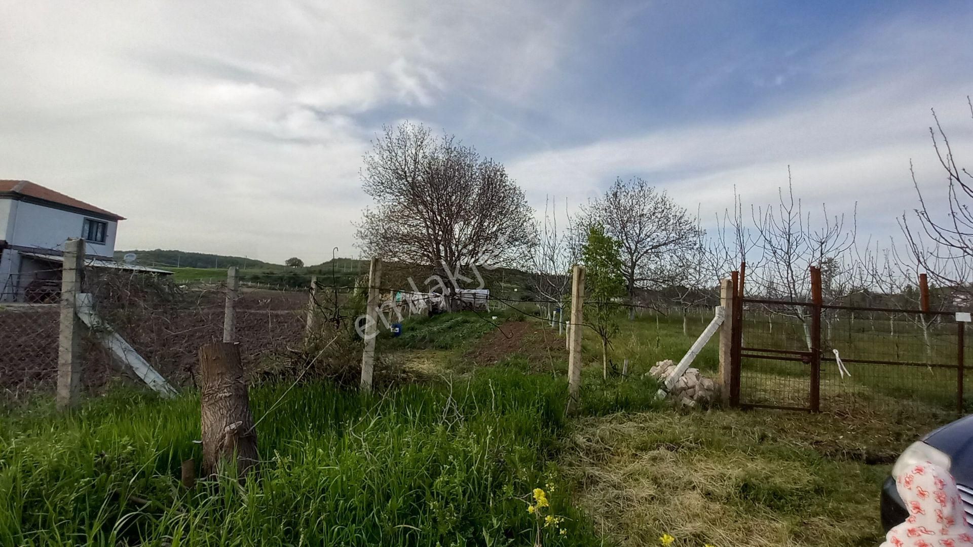 Mustafakemalpaşa Bostandere Köyiçi Satılık Arsa