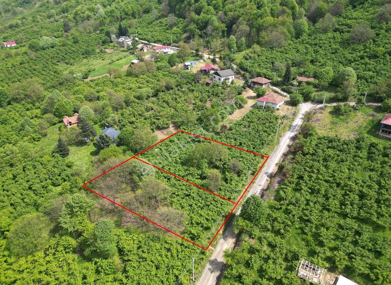 Güven Köyü'nde 1448 M2 Satılık Arsalar