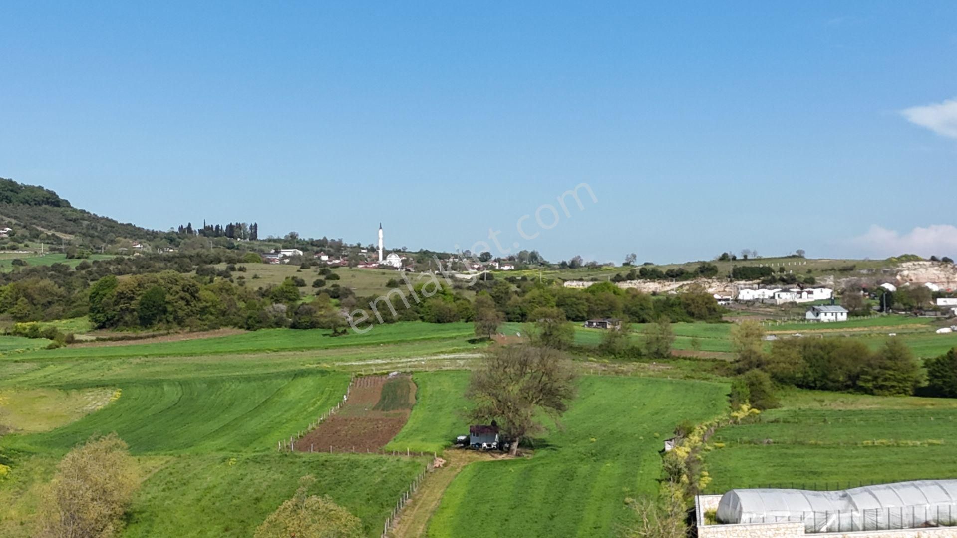 Kandıra Kerpe Yolunda Asfalta Cephe 470 M2 Satılık Parsel - Görsel 5