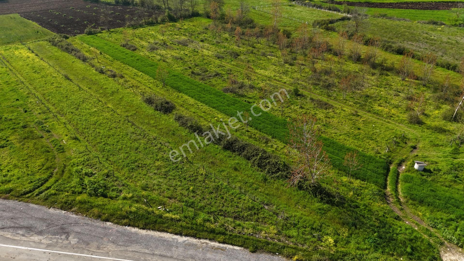 Kandıra Kerpe Yolunda Asfalta Cephe 470 M2 Satılık Parsel - Görsel 14
