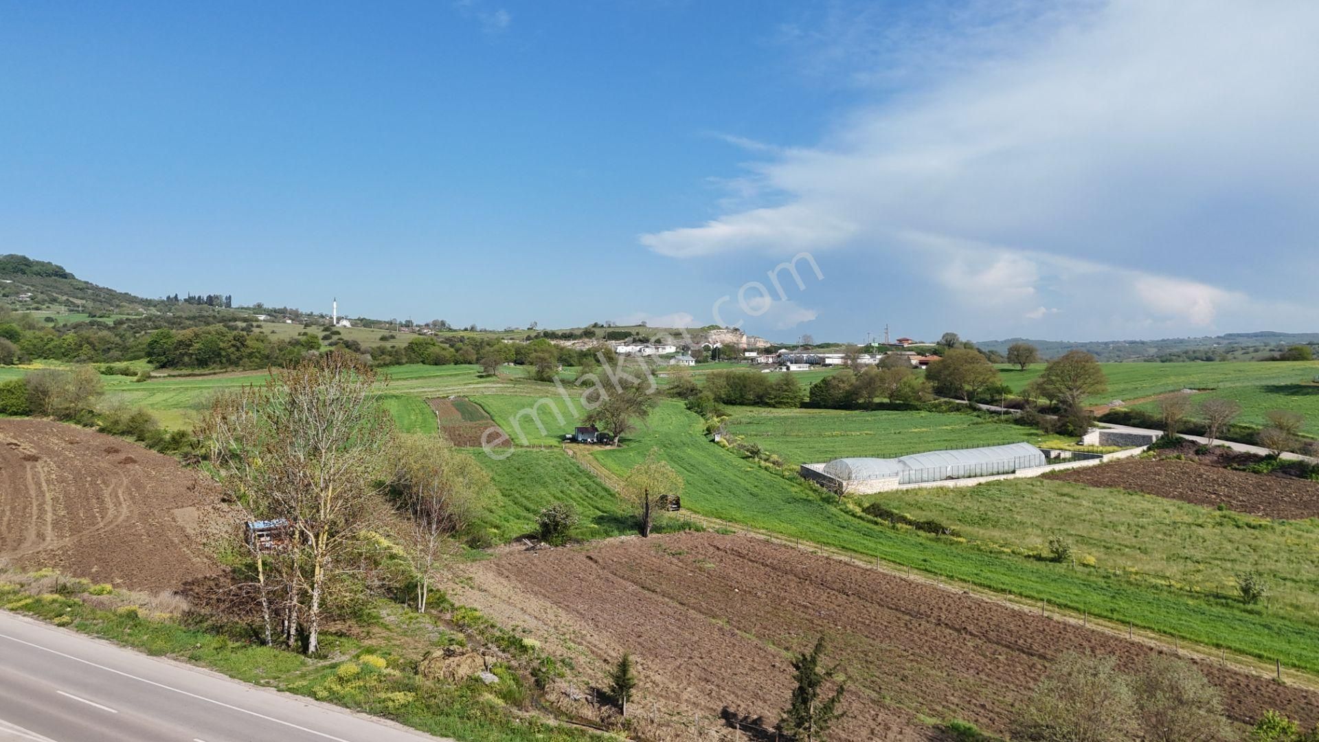 Kandıra Kerpe Yolunda Asfalta Cephe 470 M2 Satılık Parsel - Görsel 11