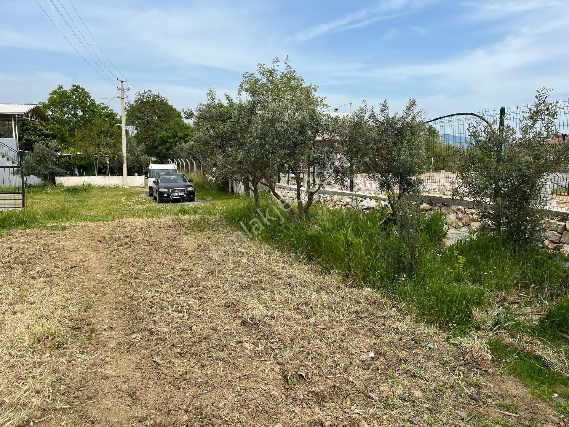 İzmir Menderes Çamönünde Satılık Arazi