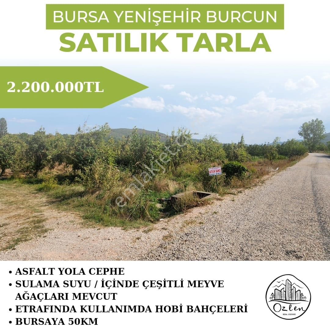 Yenişehir Burcun Satılık Tarla