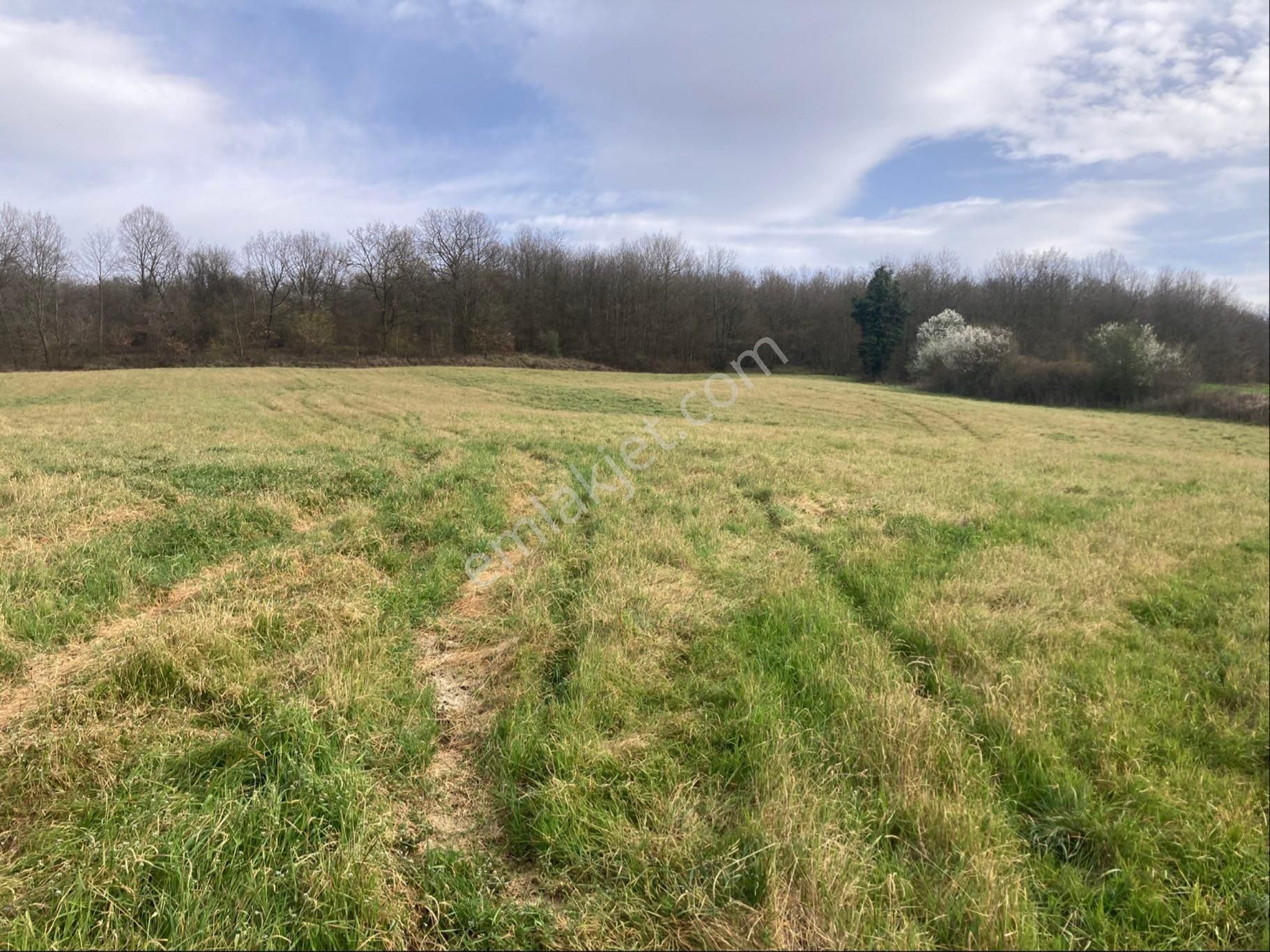 Adapazarı Kayrancık Mah. Yatırımlık Uygun 3270m2 Tarla - Görsel 6