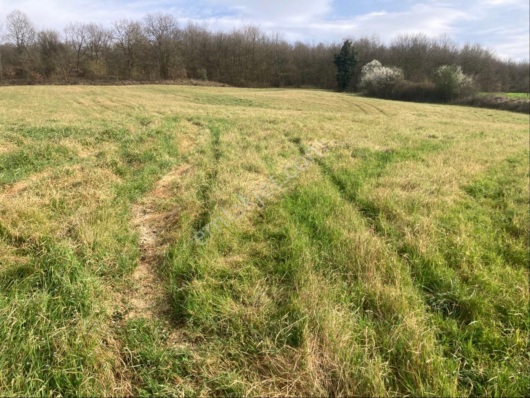 Adapazarı Kayrancık Mah. Yatırımlık Uygun 3270m2 Tarla - Görsel 4