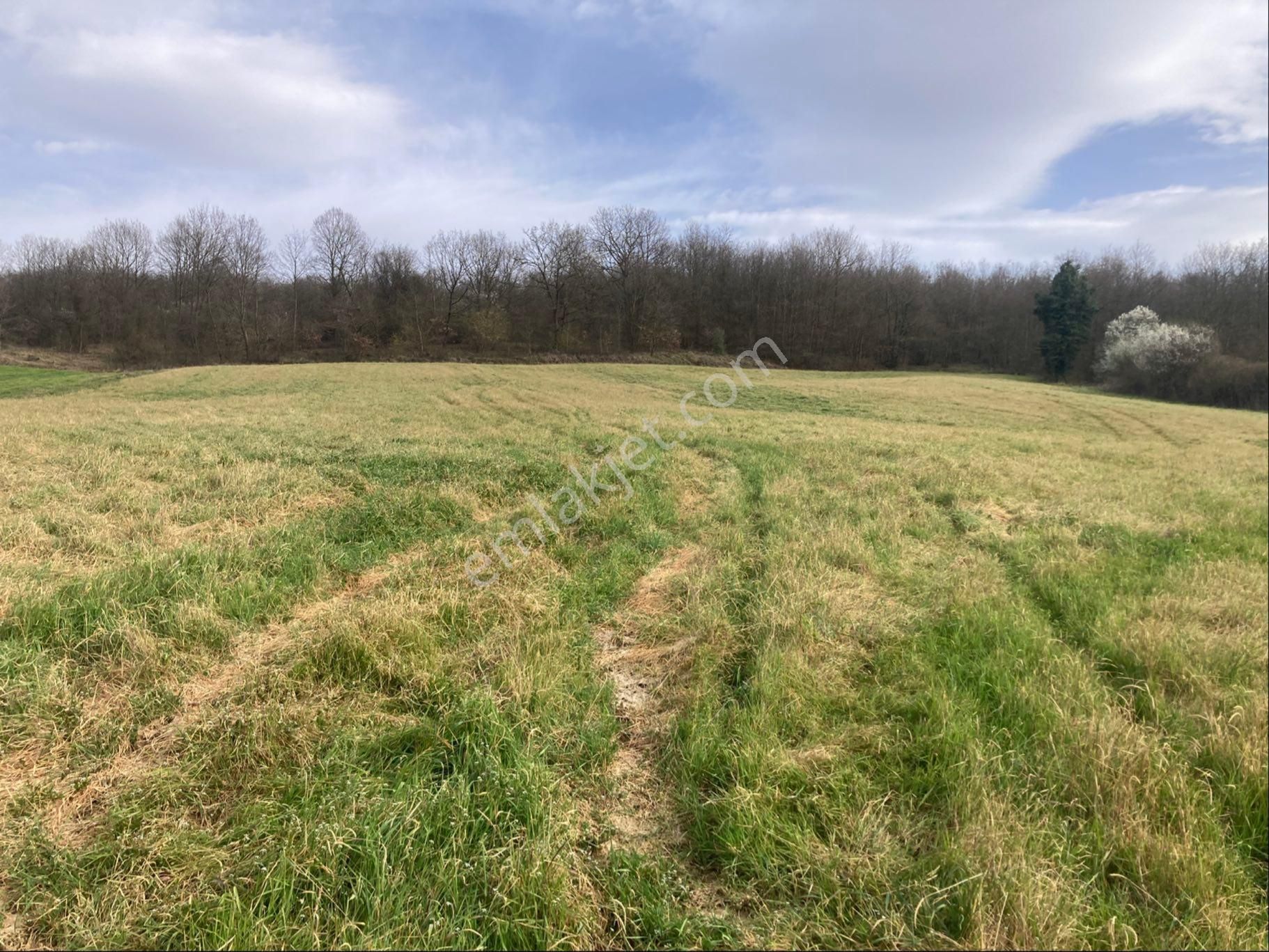 Adapazarı Kayrancık Mah. Yatırımlık Uygun 3270m2 Tarla - Görsel 7