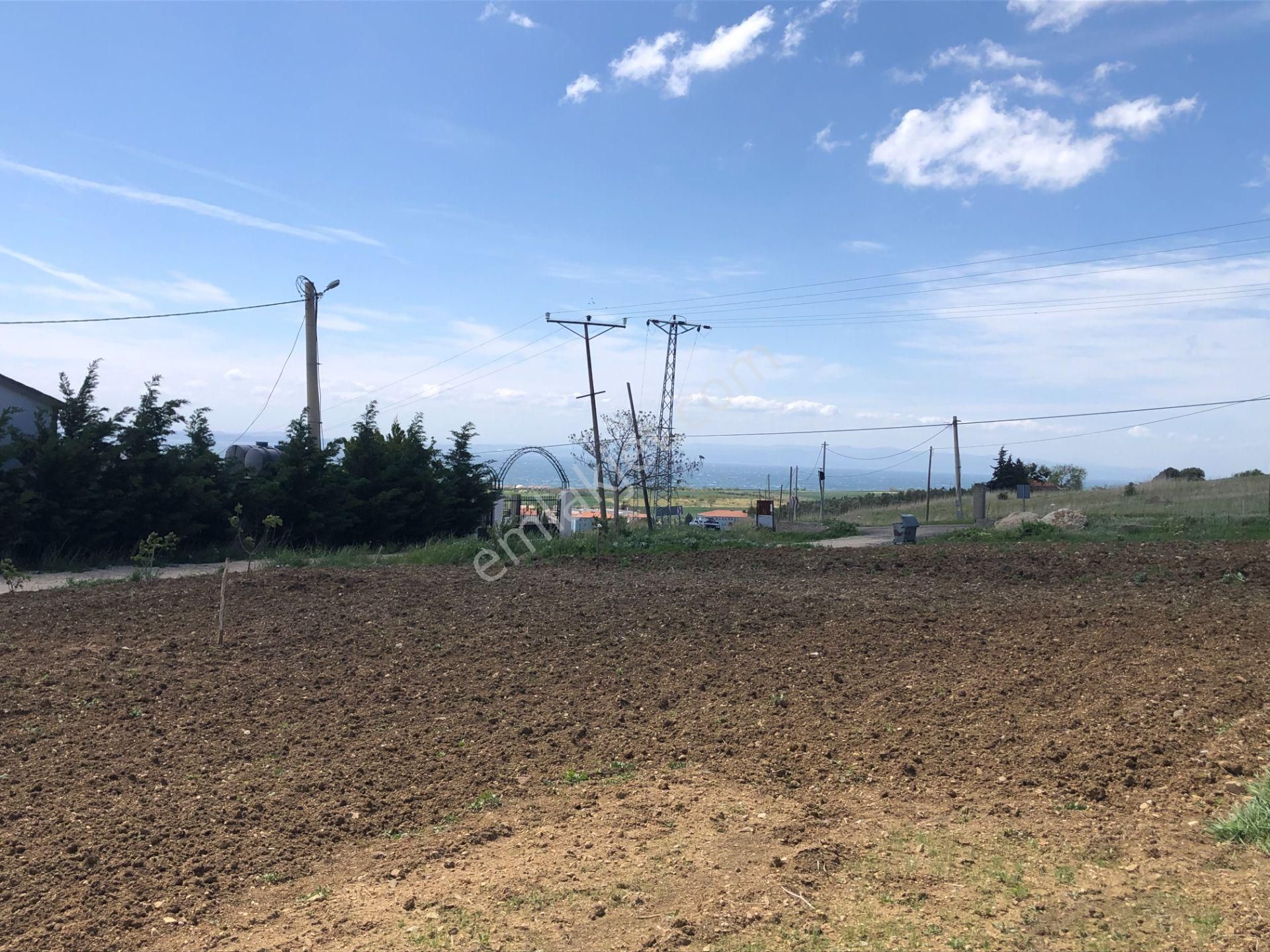 Şarköy De Işık Emlaktan İstiklal Mah De 488 M2 0/25 İmarlı İki Arsa