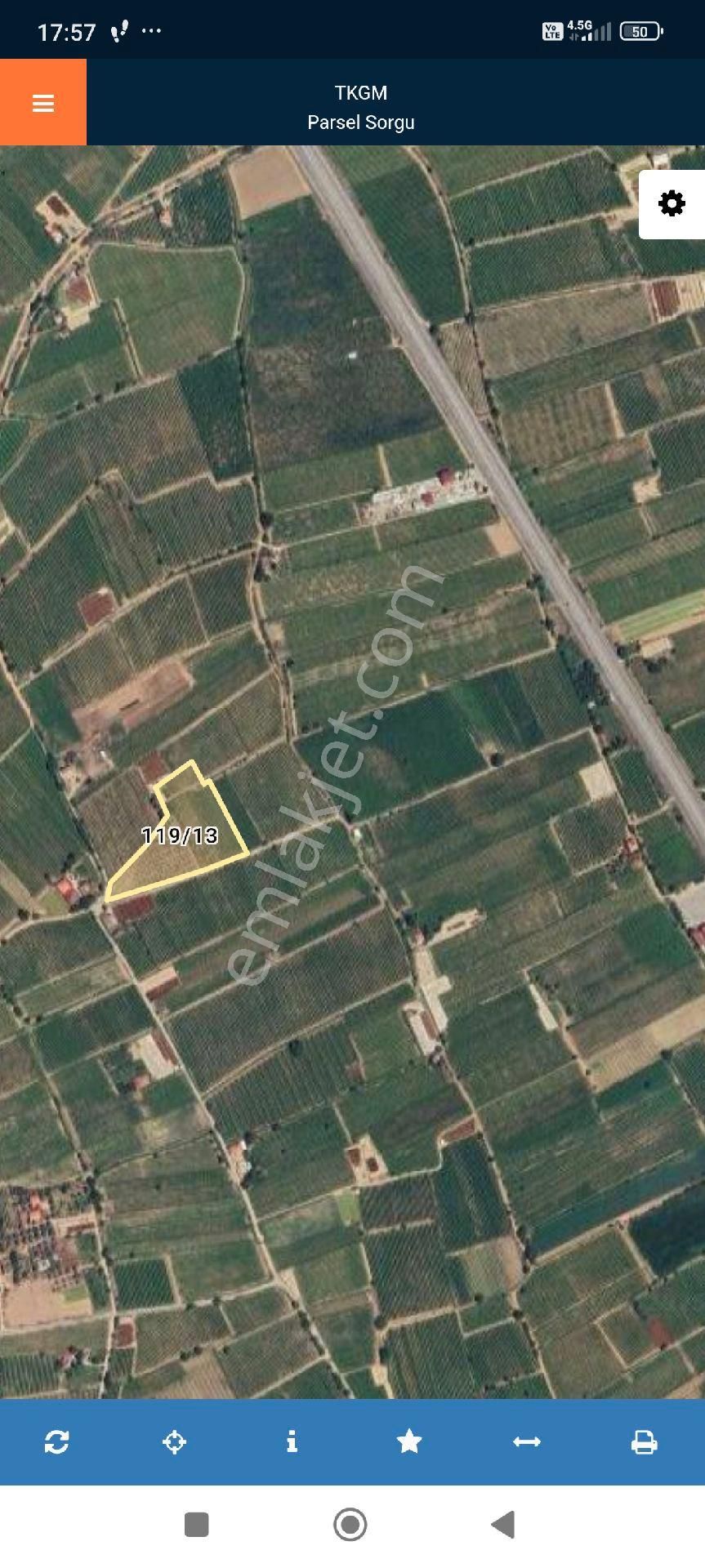 Manisa Alaşehir Delemenler Mah Satılık Zeytinlik Ve Üzüm Bağları