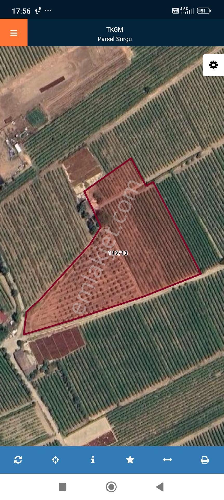 Manisa Alaşehir Delemenler Mah Satılık Zeytinlik Ve Üzüm Bağları
