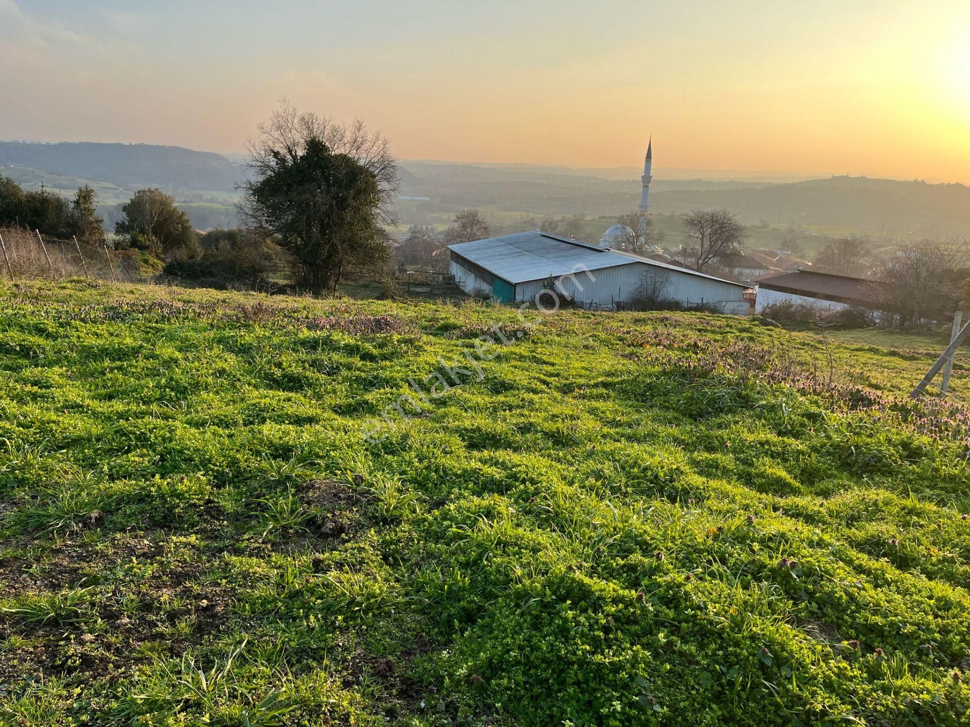 Alaybey(duraçali) Köyiçi 735 M2 Konut İmarlı Parsel