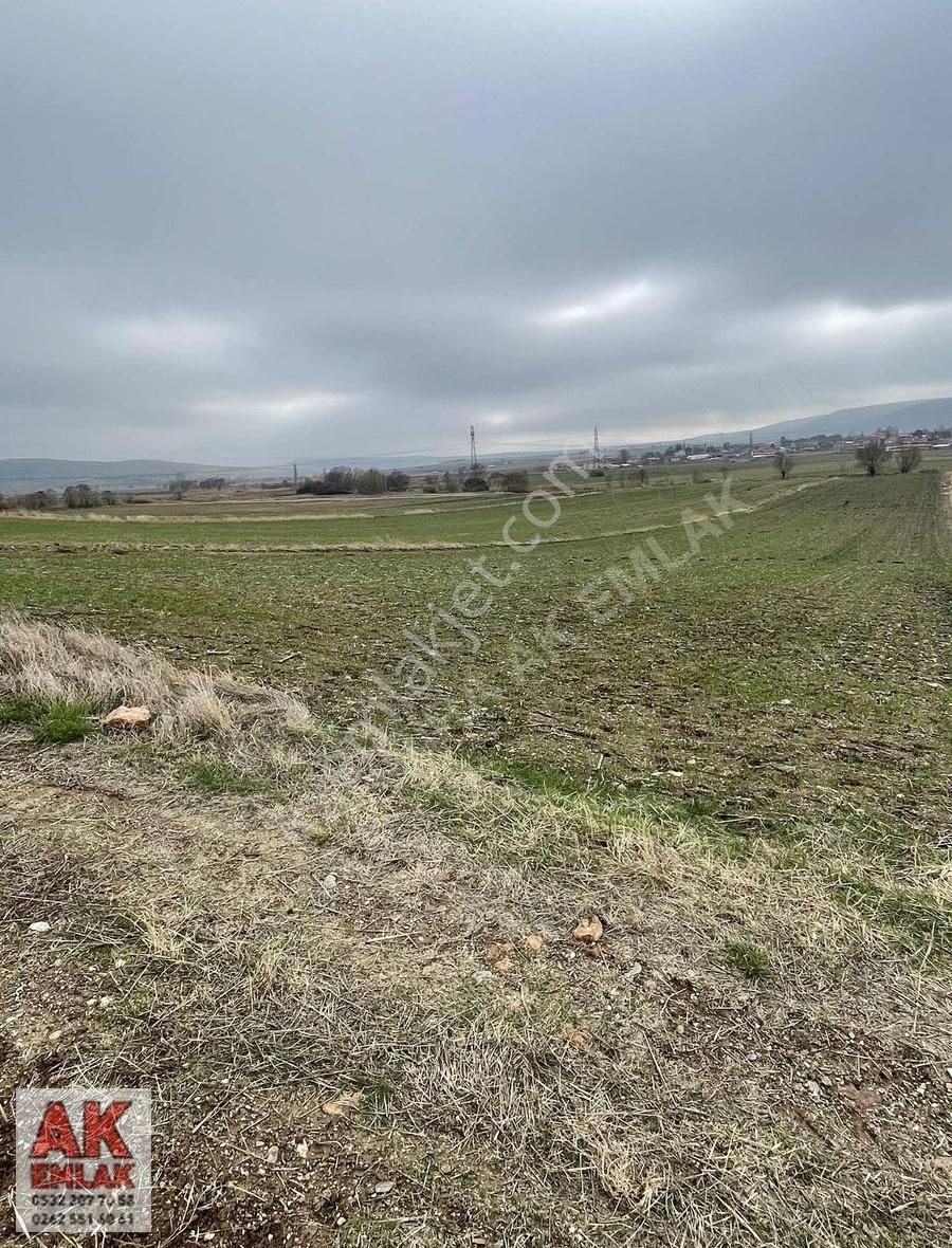 Eskişehir İnönü De Resmi Yollu Yerleşime Yakın 5 Dönüm Arazi