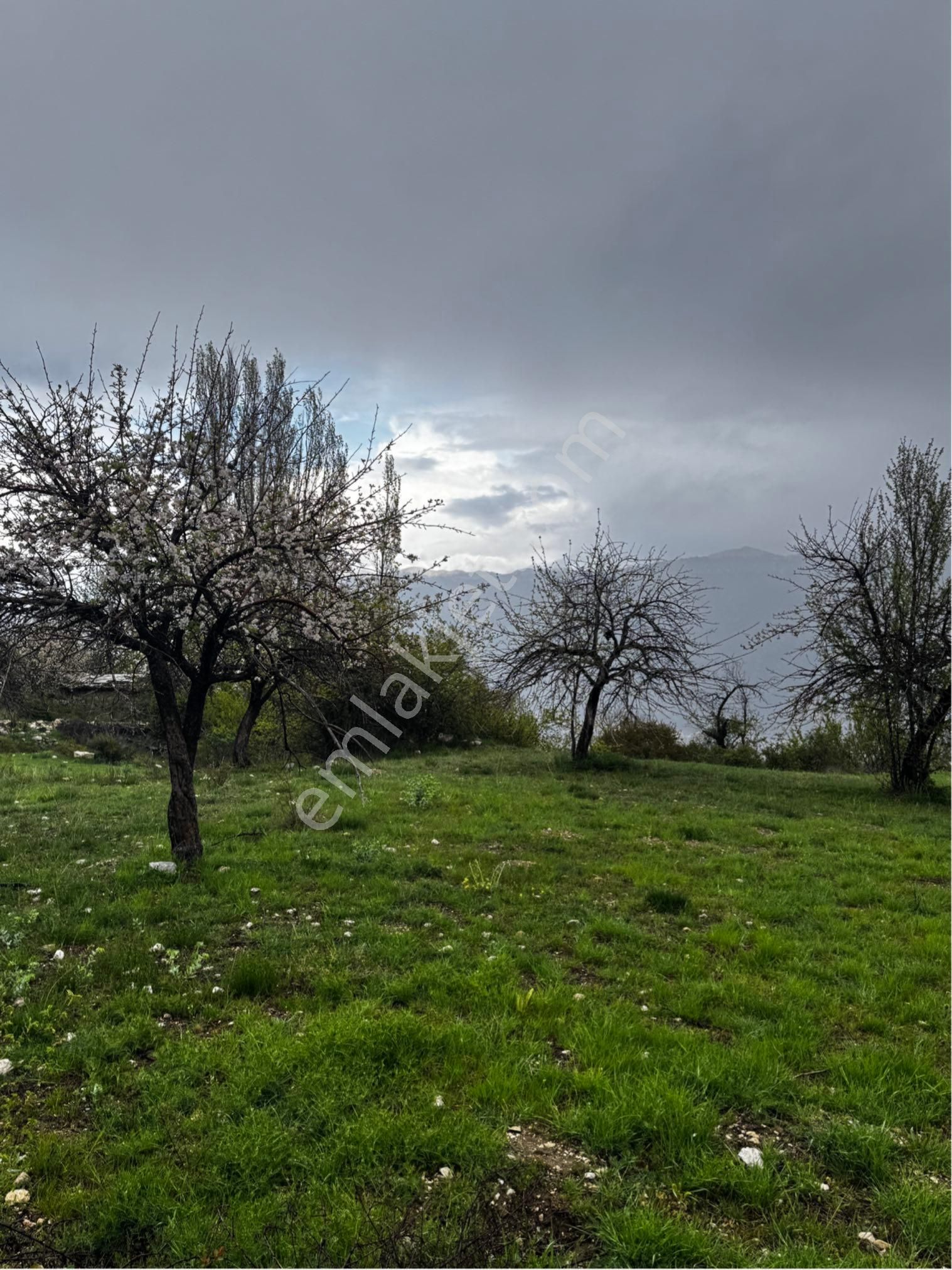 🏆 Kaş Da Yeriniz Olsun 3.400 M2🏆