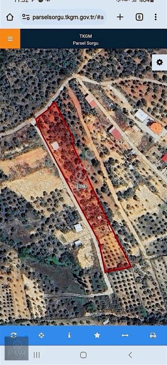 Bulur Gayrimenkul Den Torbalı Çakırbeyli De 753 M2 Zeytinlik