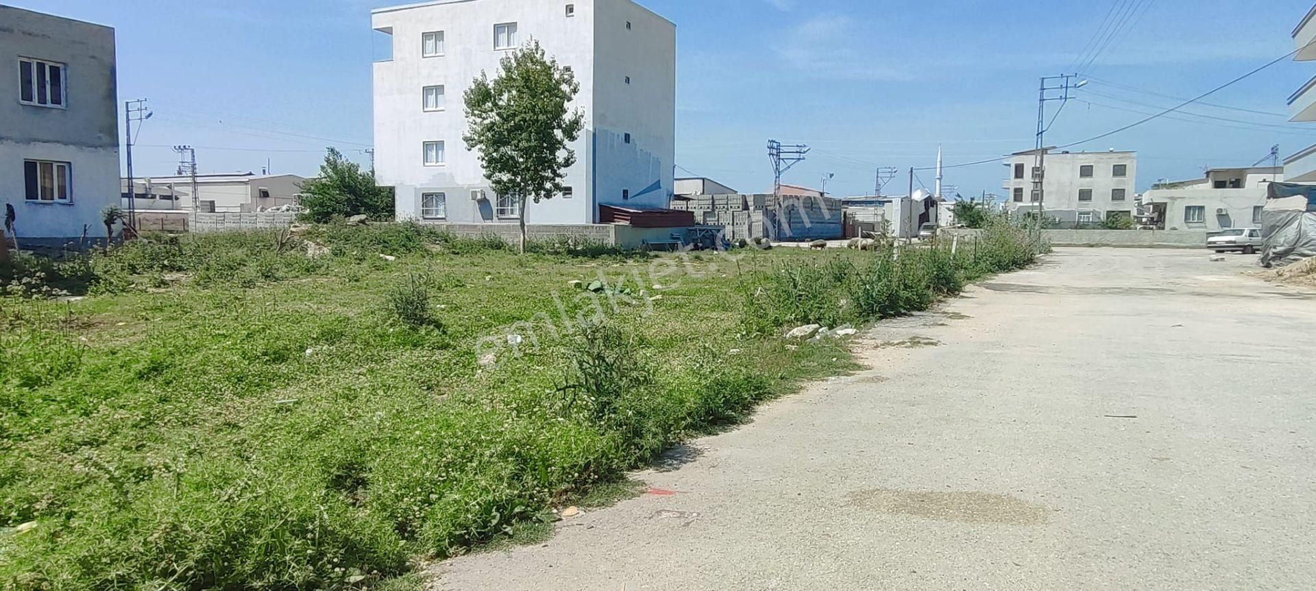 Seyhan Küçük Dikili De Her Butçeye Uygun Satılık Arsalar