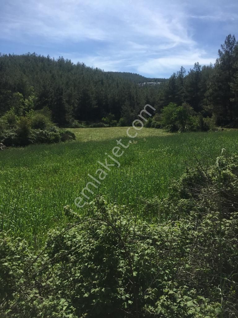 Muğla Yatağan Kozağaç Satılık 3.250m² Arazi Gökhan Alkaya'dan