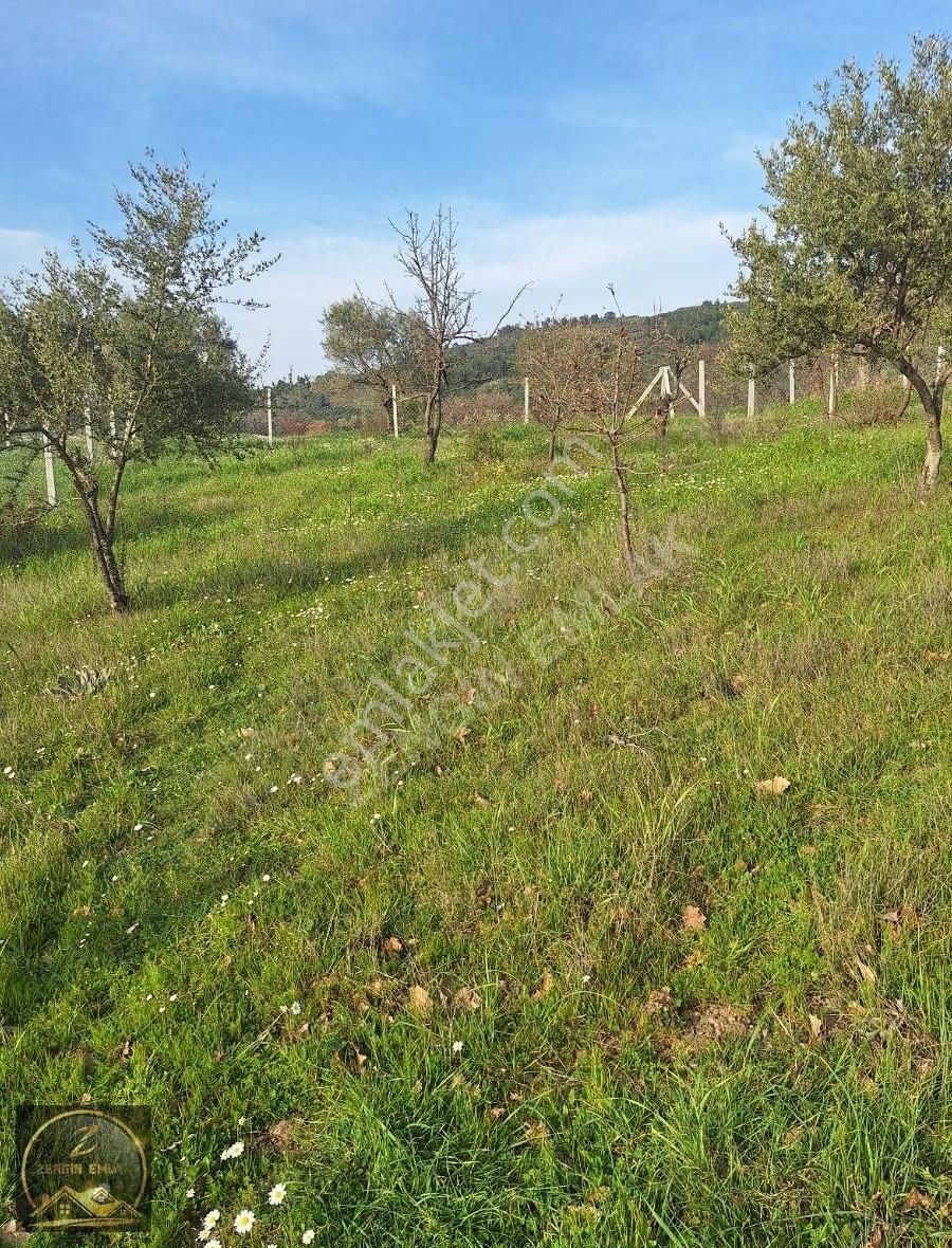 Zengin Emlak'tan Torbalı Dirmil'de 410 M2 Mirastan Bölme