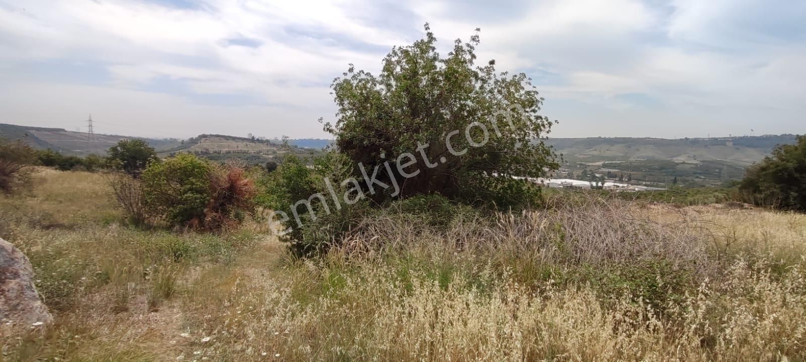 Fa Emlaktan Çavakta Merkeze 15dk Satılık 18.600m2 Bahçe - Görsel 13