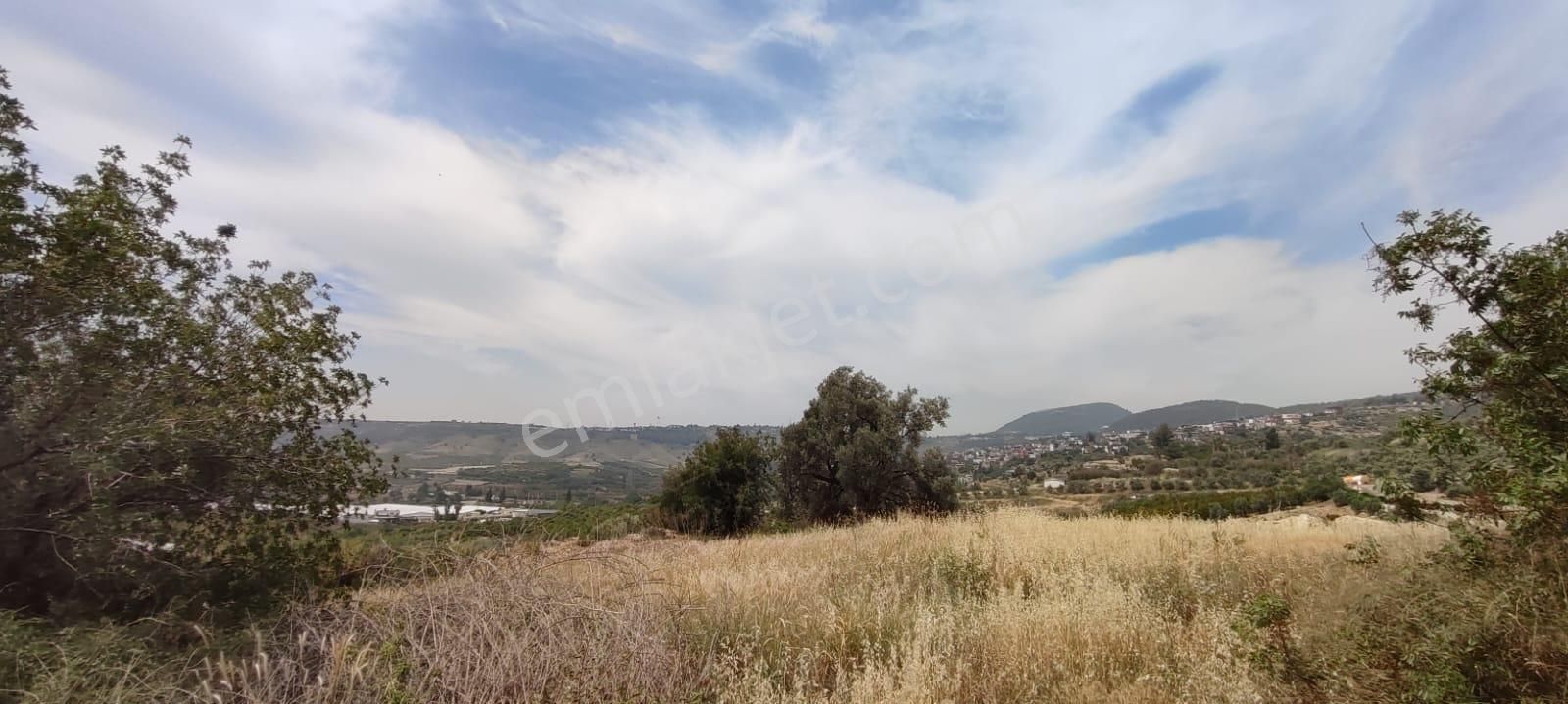 Fa Emlaktan Çavakta Merkeze 15dk Satılık 18.600m2 Bahçe - Görsel 14