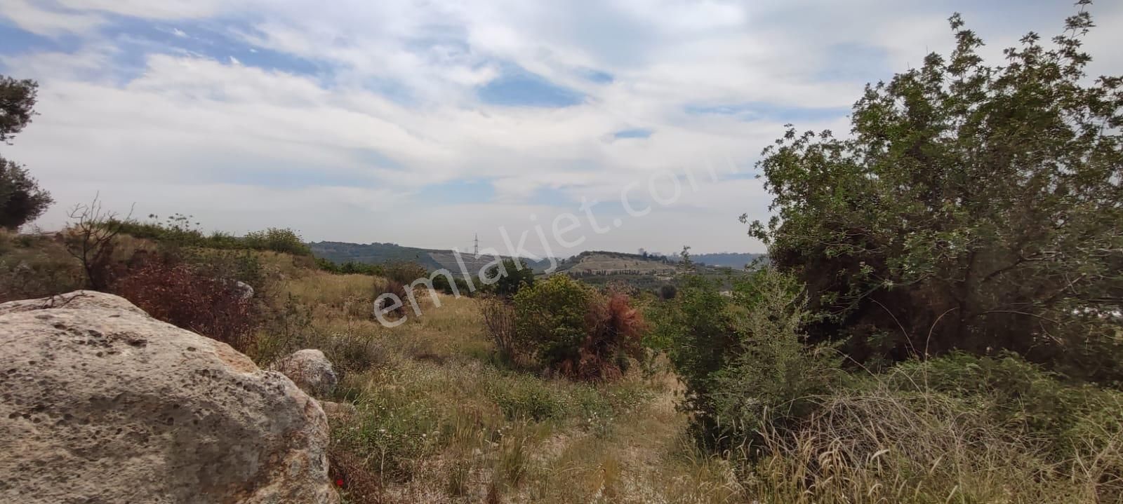 Fa Emlaktan Çavakta Merkeze 15dk Satılık 18.600m2 Bahçe - Görsel 10