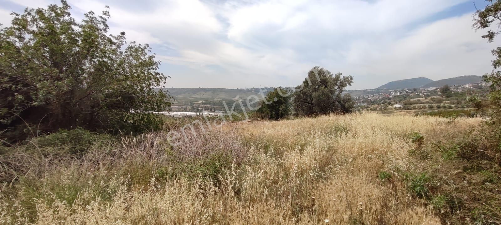 Fa Emlaktan Çavakta Merkeze 15dk Satılık 18.600m2 Bahçe - Görsel 11