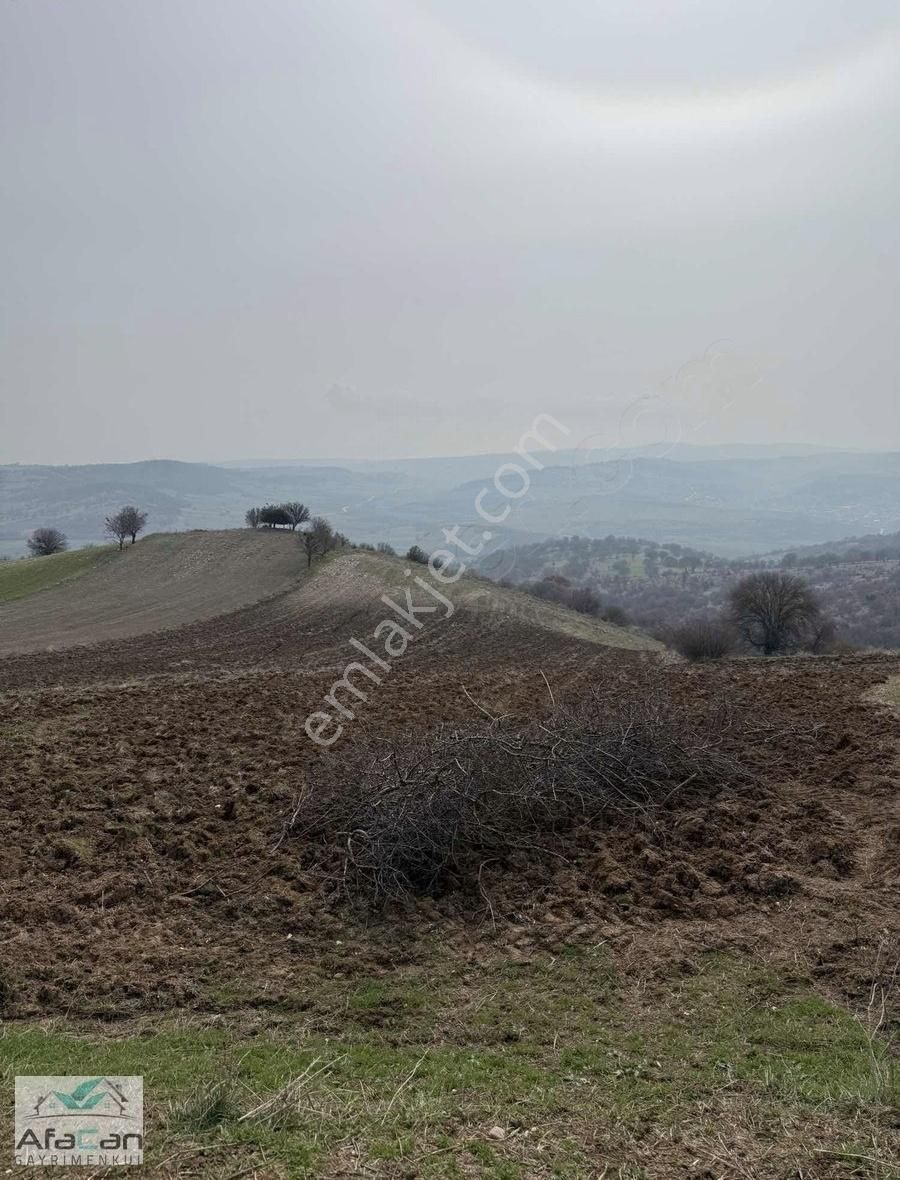 Organize Sanayi Bölgesinde Köye Yakın Yatırımlık 9000 M2 Arazi!!