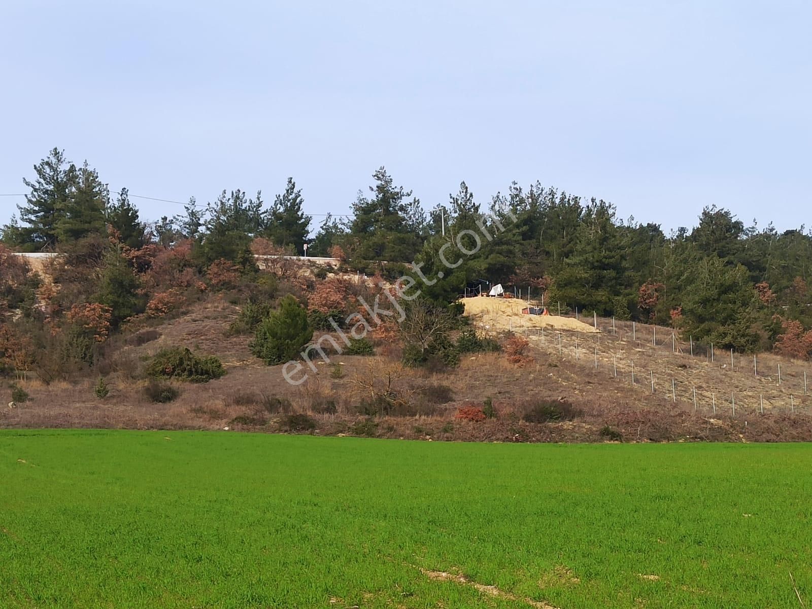 Bursa İnegöl Şipalide 1900 M2 Satılık Tarla