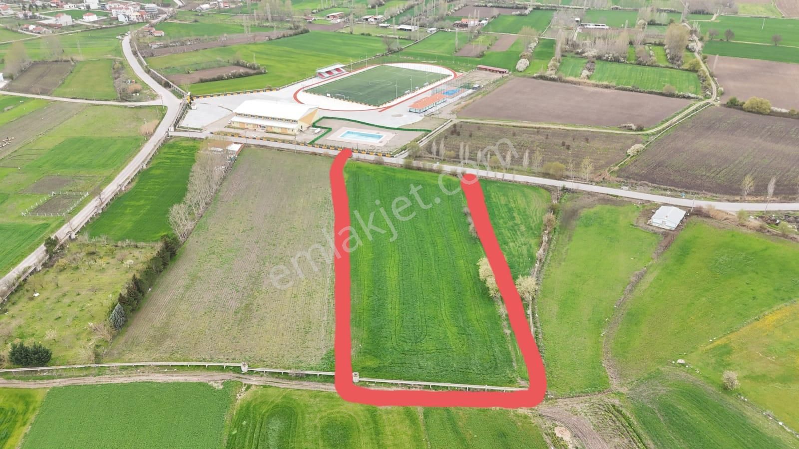 Balıkesir Kepsut Yenice Mahallesi 9807 M2 Satılık Tarla