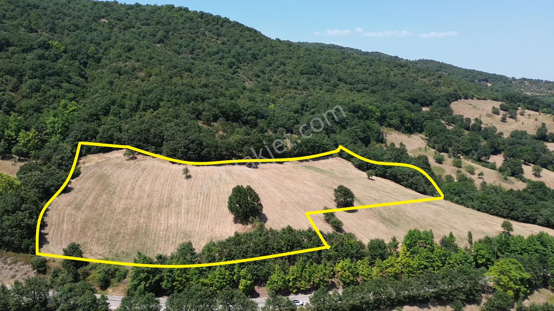 17.400 M2 Yenice Asfaltına Cephe Ekilip Biçilen Arazi