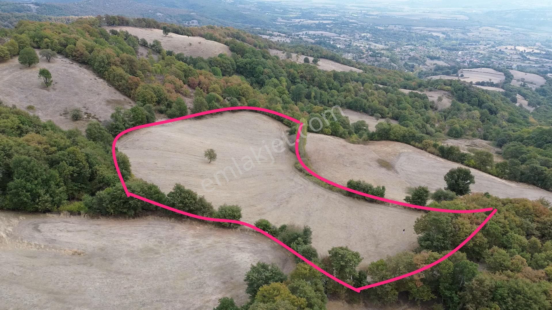 14.400 M2 Gaybular'da Resmi Yola Cephe Ekilip Biçilen Tarla