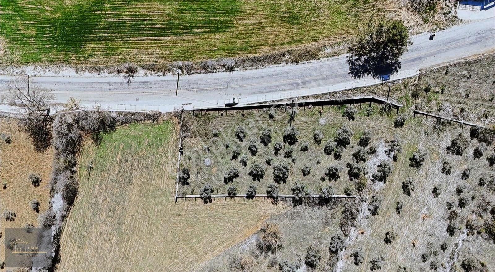 Muğla Menteşe Yerkesik Mah. Yatırıma Uygun Fırsat Tarla 475 M2
