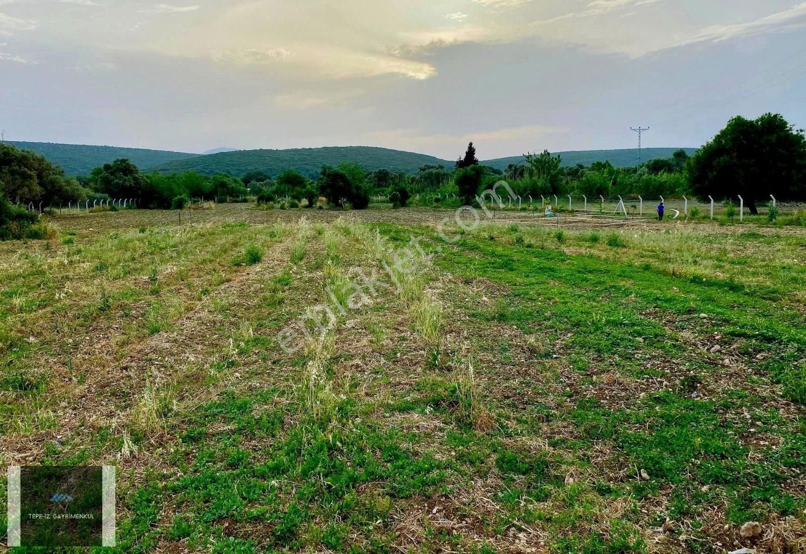 Urla Atatürk 10.860 M2 Takasa Uygun 1/5000'lik İmara Yakın Tarla - Görsel 4