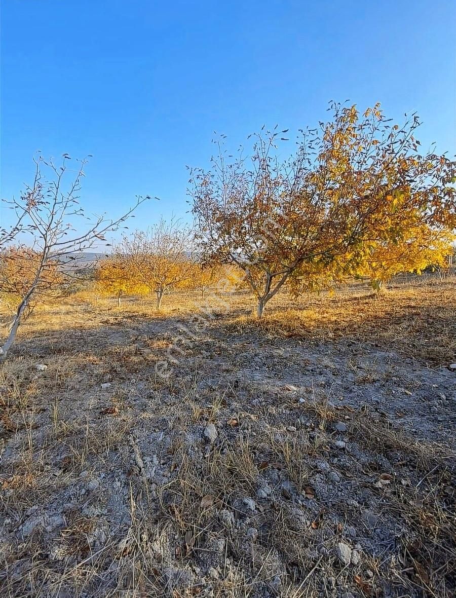 Kum Köyde Elektrik Su Ve Dam Bulunan Satılık Tarla