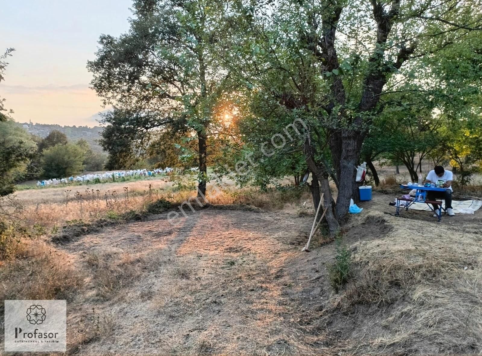 Profasor Dan Satılık Orhaneli Semerci Köyünde 245 M2 Tek Tapu