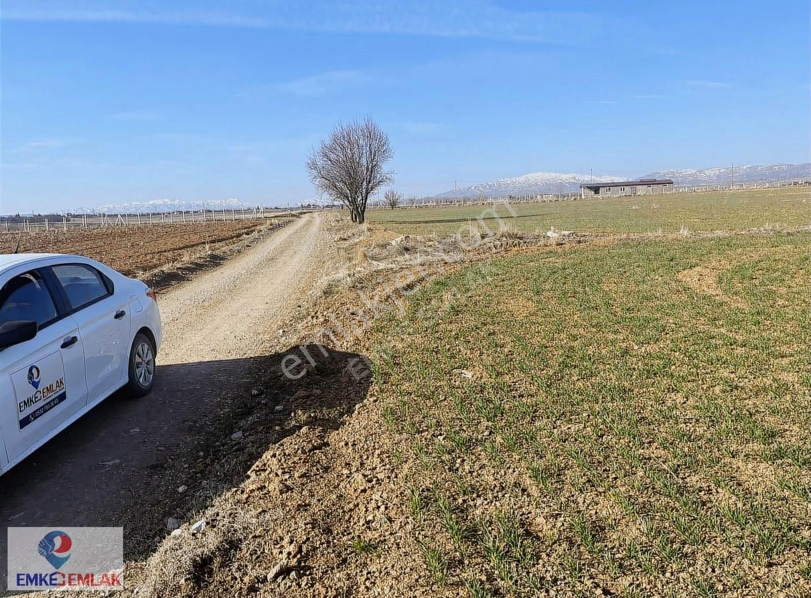 Elazığ Merkez Pelte Köyünde Emke Emlaktan Satılık Tarla