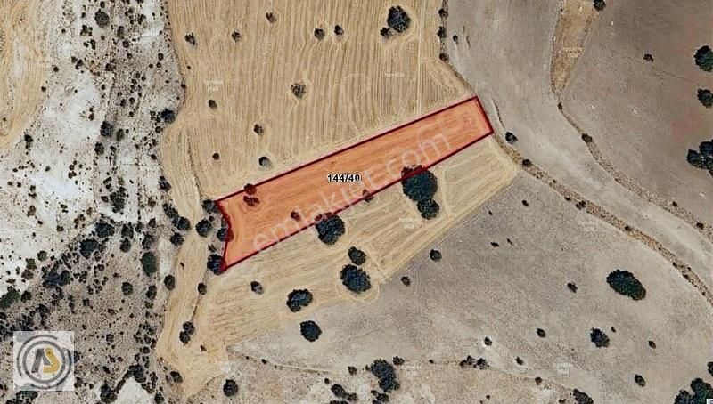 Beyşehir Gönen Mah.de Satılık 7.019 M2 Tarla