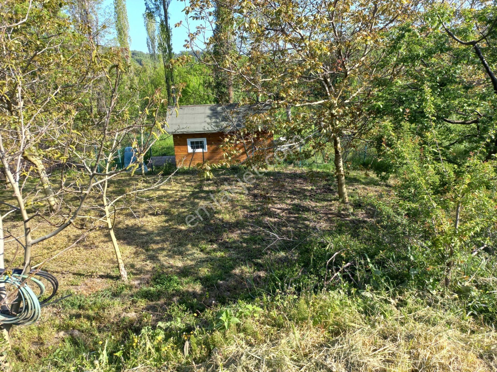 Bursa İznik Aydınlar Mahallesinde Hobi Bahçesi - Görsel 5