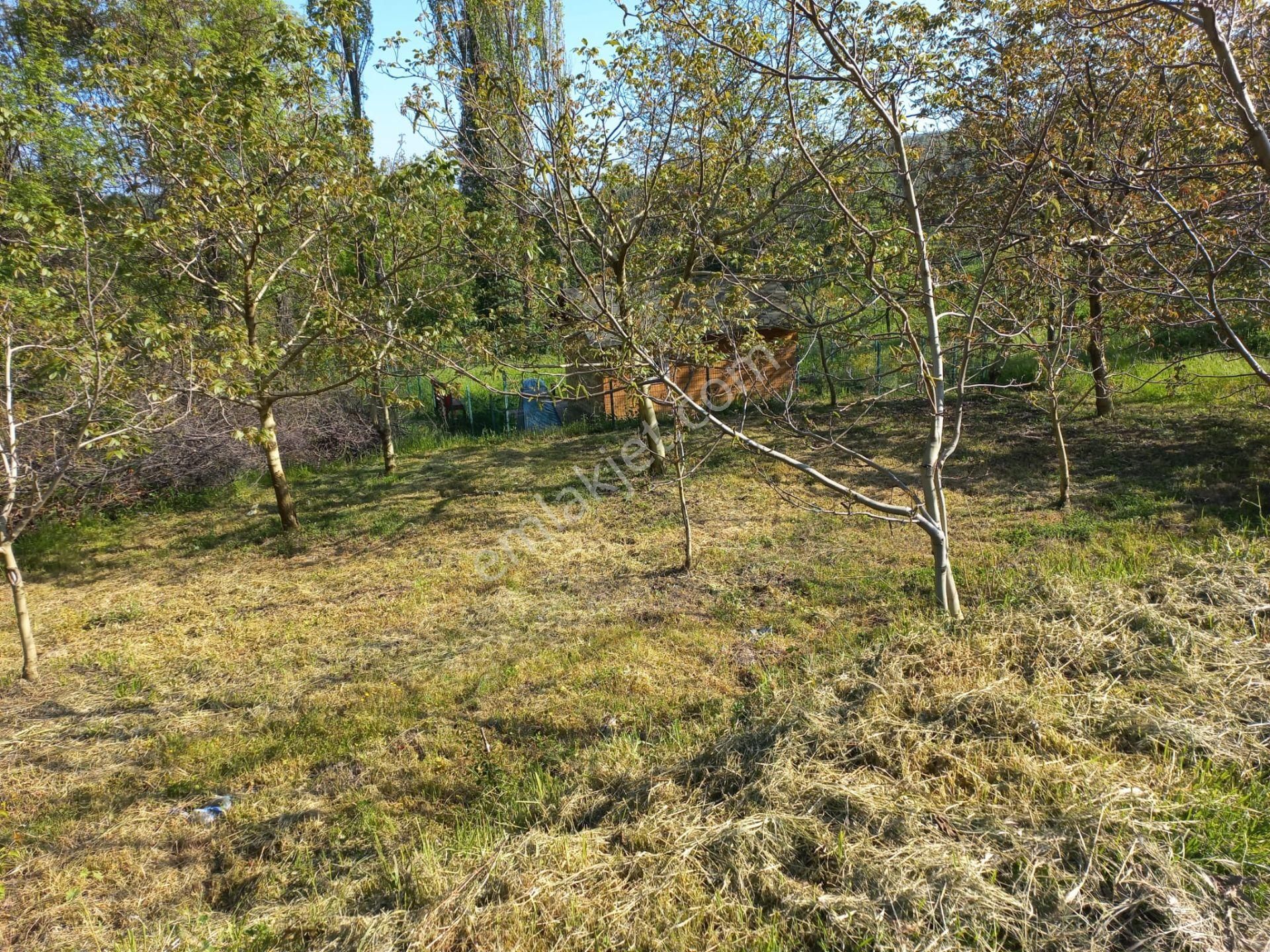 Bursa İznik Aydınlar Mahallesinde Hobi Bahçesi