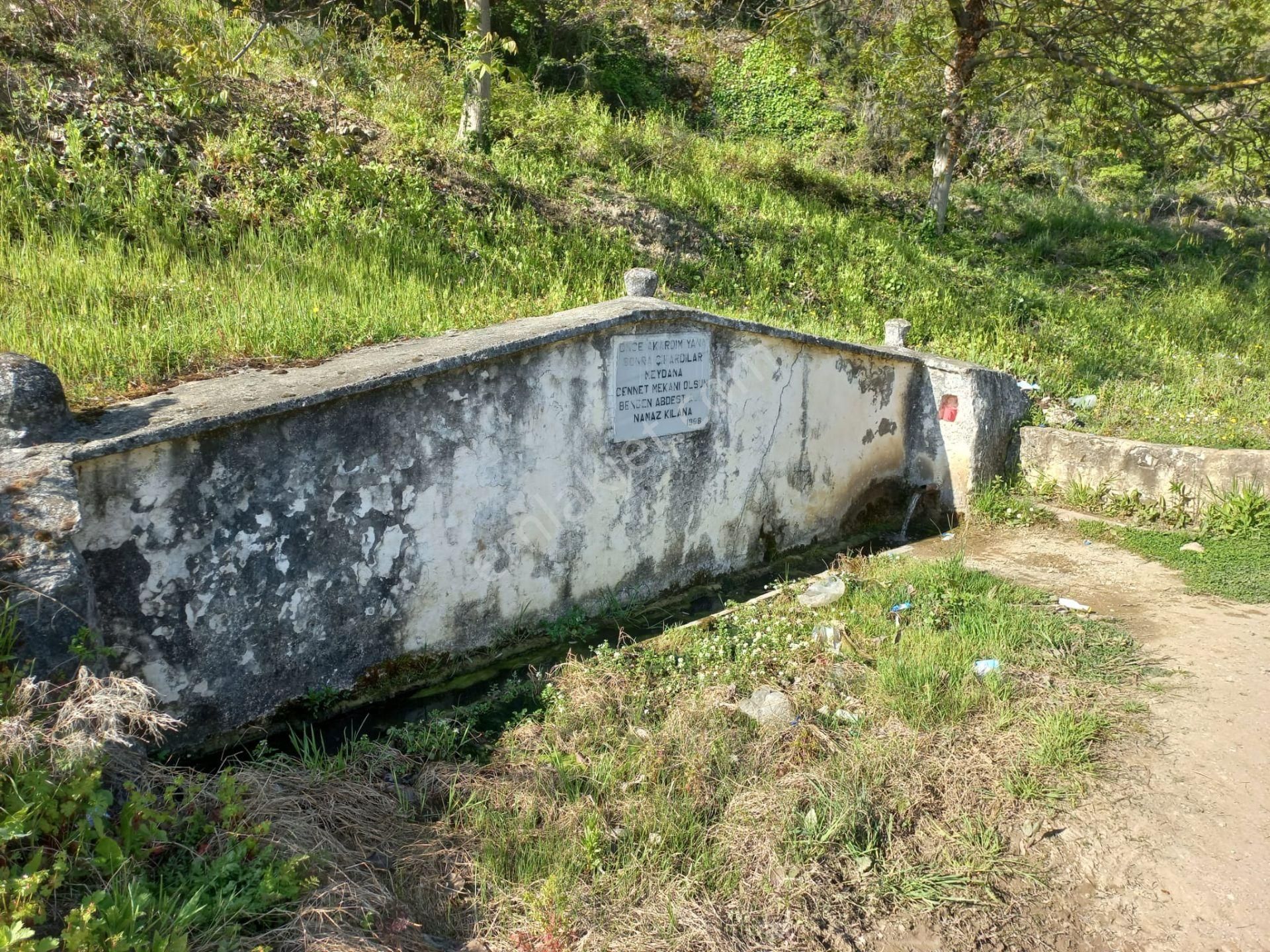 Bursa İznik Aydınlar Mahallesinde Hobi Bahçesi - Görsel 6