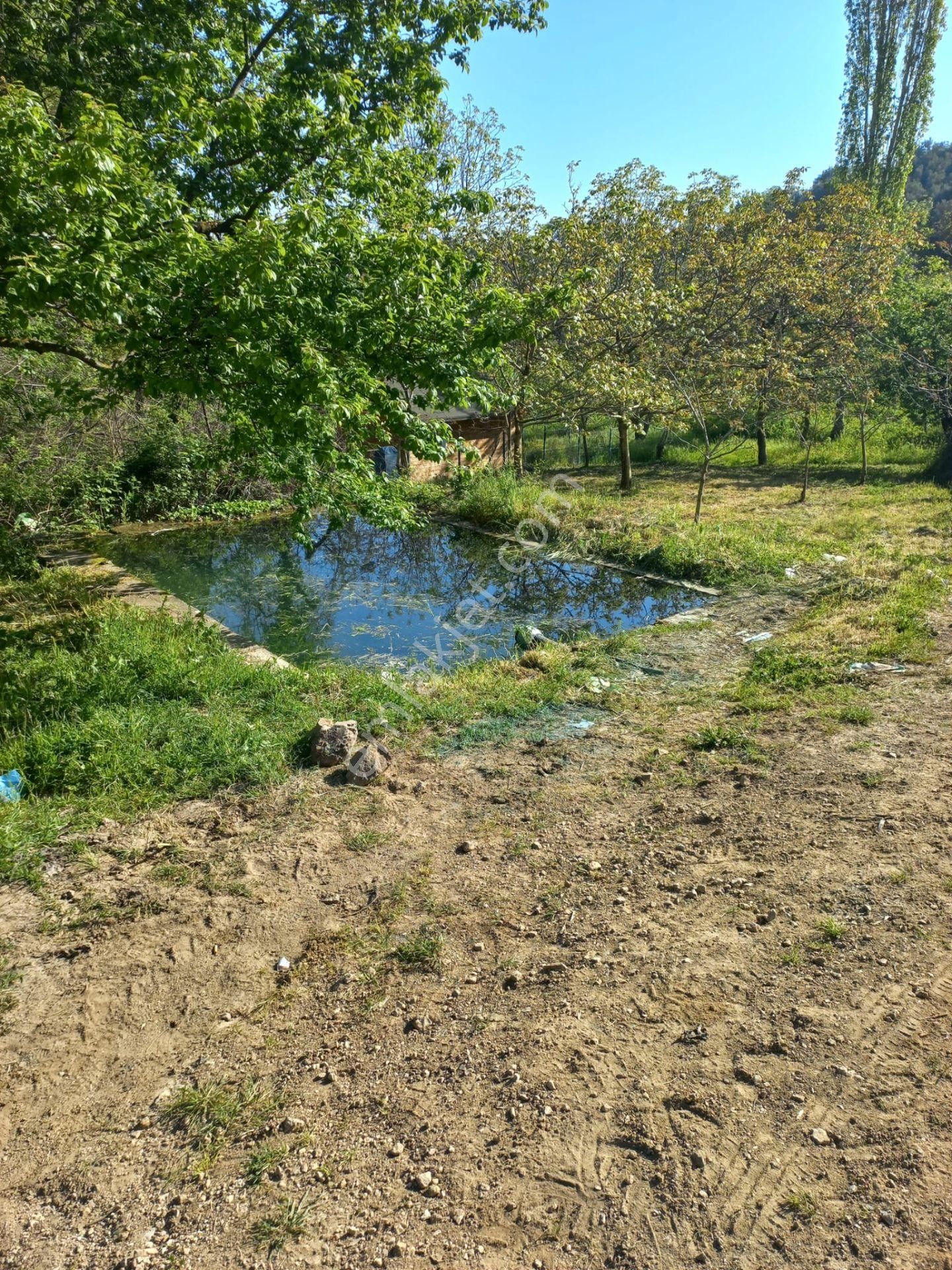 Bursa İznik Aydınlar Mahallesinde Hobi Bahçesi - Görsel 4