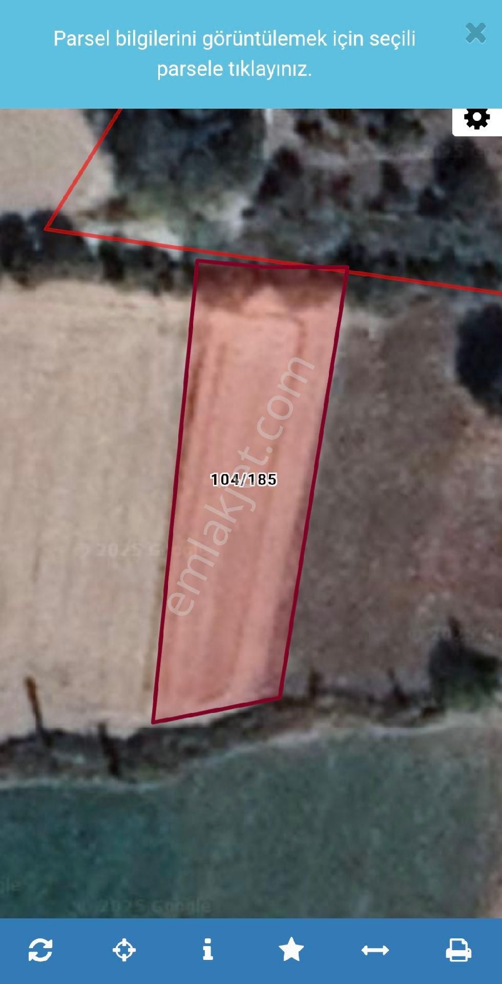 Ertuğrul Da Satılık Tarla