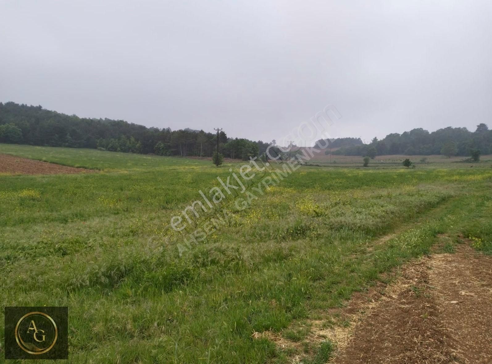 Ahşena Gayrimenkul'den Bilecik'te 13.894 M2 Satılık Arazi