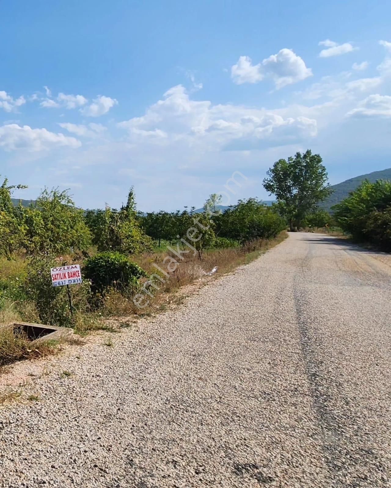 Yenişehir Burcun Satılık Tarla