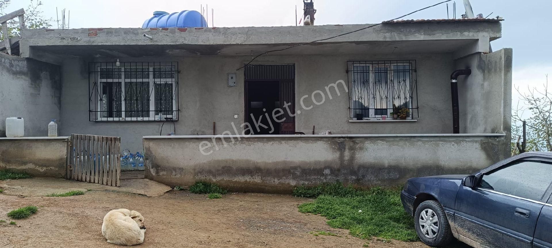 Çatalpınar Karahamza Köyünde Satılık Ev Ve Bahçe