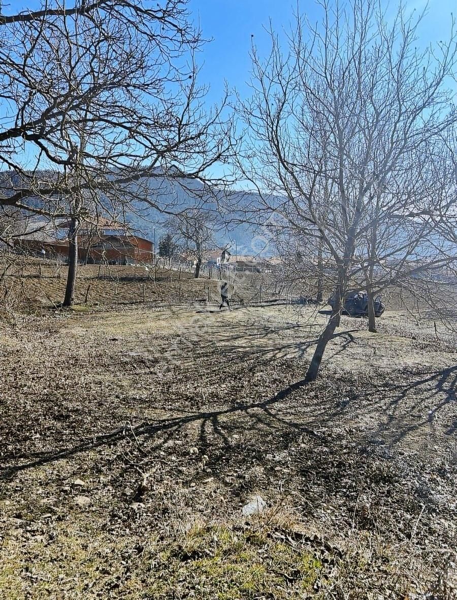 %40 İmarlı Ceviz Bahçesi