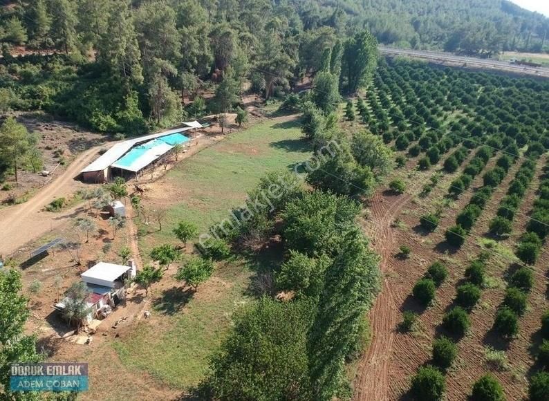 Köyceğiz Beyobası Mahallesinde Satılık 6.200 M2 Tarla