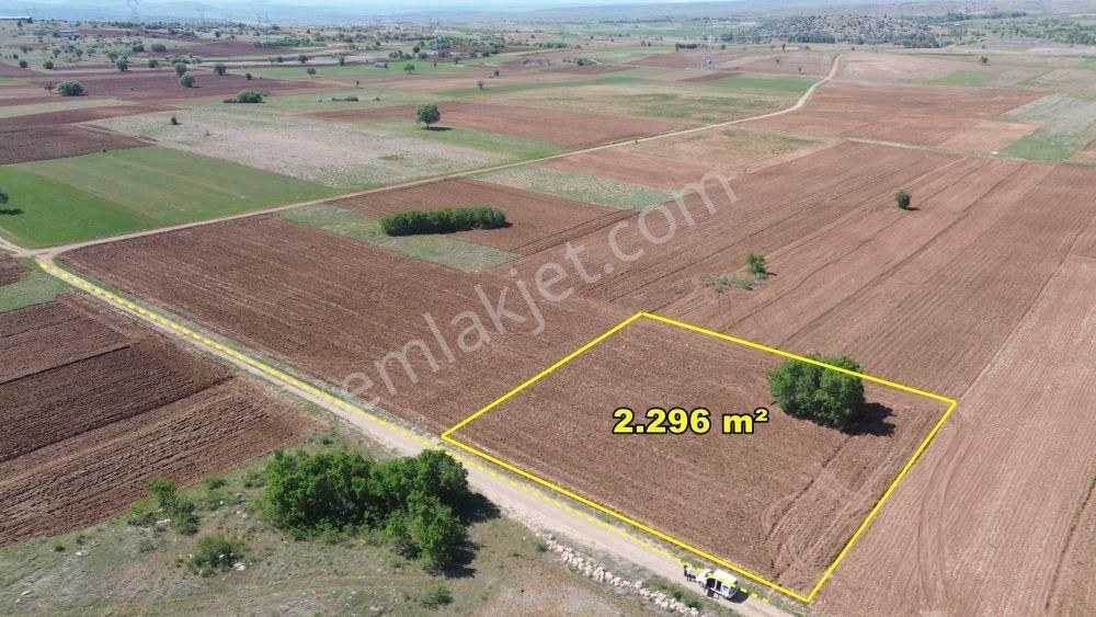 Akören Tülce De 2.296 M2 Müstakil Tapulu Arazi